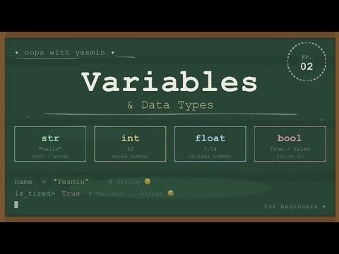 Learn Python Variables and Data Types in Under 10 Minutes (Beginner Friendly)