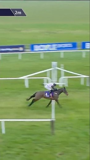 Minella Machine wins stylishly at Wexford ✅
