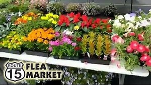 10K views · 39 reactions | Have a great Memorial Day Weekend and stop...