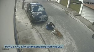 53K views · 544 reactions | PITBULL ATACA POODLE Vídeo mostra quando o cachorro maior corre em direção do menor. Caso aconteceu em Conselheiro Lafaiete (MG) Confira: | Record Minas | Facebook
