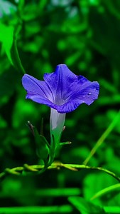 36K views · 14K reactions | Pro Mobile photography • •Shot on...