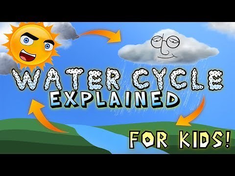 Water Cycle Explained for Kids!