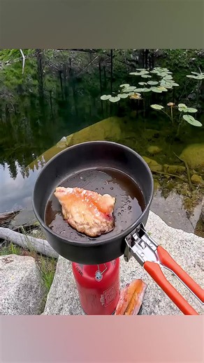 Wild Trout Fishing Deep in the Mountains Catch and Cook