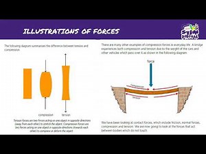 Grade 9 Natural Science l 17 july 2020 l Gravitational Forces