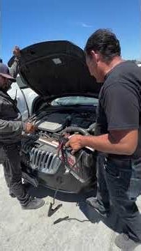San Diego's #1 Public Car Auction