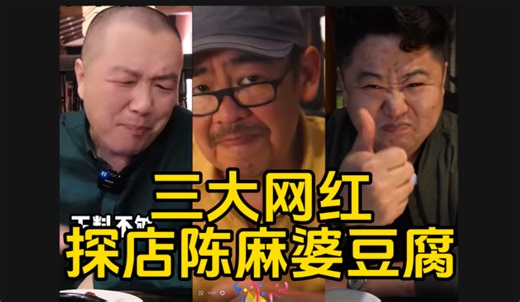 三大网红探店陈麻婆豆腐！给出的评价那叫一个赞不绝口！