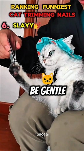 Ranking Cat Nail Trims by Survival Difficulty 🐱✂️ #cats #animalvideos #funnycats