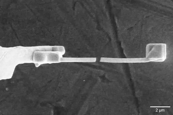 Microscopic metal 'thorns' shed light on how lithium-ion batteries short-circuit