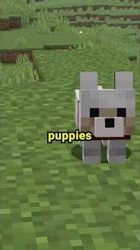 NEW BABY MOBS IN MINECRAFT!
