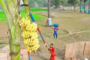 Must Watch New Funny Comedy Video 2023 Try Not To Laugh By funny comedy funnyvideos viral trending (55) #IncredibleIndiaHumor #DesiLaughs #IndianComedy #FunnyIndia #DesiHumor #DesiMemes #IndianJokes 😂💚💛 | Ananda barta