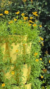 6.2K views · 69 reactions | You don't need a big yard to grow something beautiful - just 2 square feet and some seeds  It’s amazing what you can grow when you go vertical. From herbs to flowers to leafy greens, GreenStalk brings both beauty and function to your outdoor space. Less bending, more blooms, and a garden you can truly grow with.  Learn more at GreenStalkGarden.com. | GreenStalk Garden | Facebook