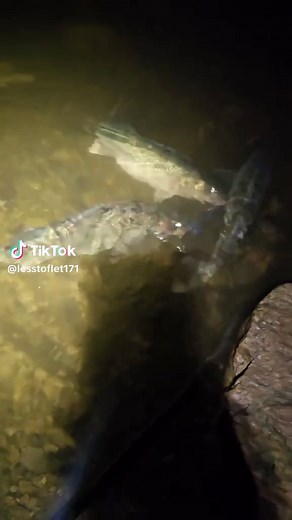 Chasing Walleyes on the Rock River in Wisconsin
