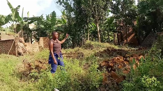 13K views · 1K reactions | Hahara 's site after one year wen the materials are on site finally here we are. She a mother and a father of 5children but she is trying all the ways to do something. Single mother situka tutambule dia | Amanda Magezi investments limited | Facebook