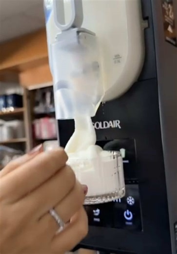 Making Ice Cream with Goldair Machine: A Summer Treat