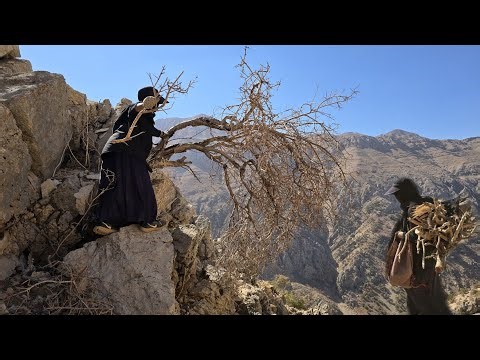Nomadic Life in the Zagros: A Woman's Effort in the Mountains to Collect Firewood