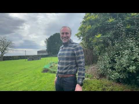 Meet the Ad Hoc'ers: Mark