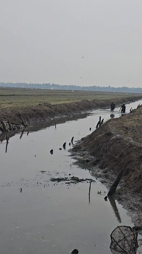 Fisherman life | EARTH Lovers MEDIA