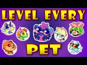 Level Up ALL PETS!!! INSANE NEW Beta in Prodigy Math!!!
