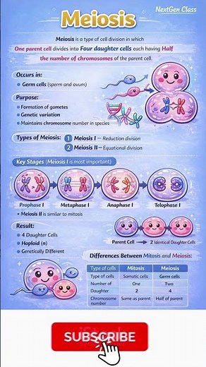 Meiosis Explained | Stages of Meiosis I & II with Diagram | Class 10 Biology