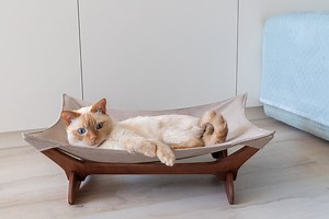 Cat Hammock, Cat Bed, Cat Hammock Stand, Cat Hammock Bed, Cat Couch, Outdoor Cat Hammock, Wood Cat Hammock Cooling, Cat Hanging Bed,cat Sofa - Etsy