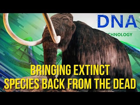 Reviving Extinct Species: The Possibilities of CRISPR Technology