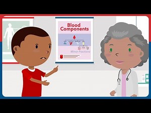 Understanding Blood Components and Fractions