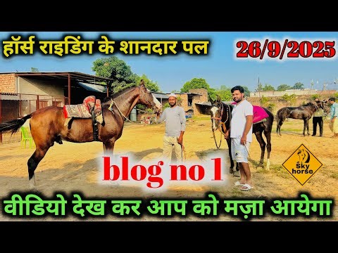 🔥 Fastest Horse Riding in India | Desi Rider Performance | Horse Lovers Must Watch#Skyhorse