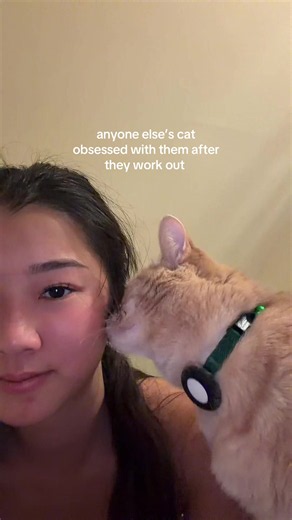 Why Is My Cat Obsessed With Me After I Work Out?
