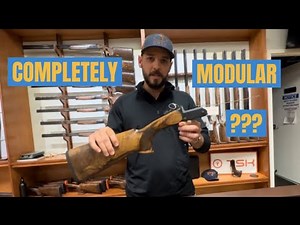 Blaser F3 introduction