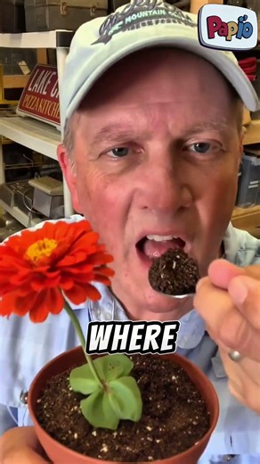 Movie Food Secrets Revealed