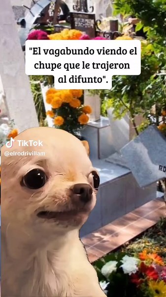 Memes divertidos del Día de Muertos