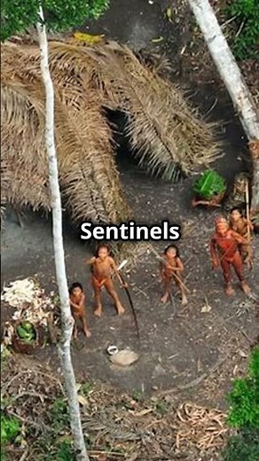 Secrets of the Isolated Sentinel Tribe Revealed