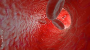 Red blood cells flowing in artery. HD. Looped.