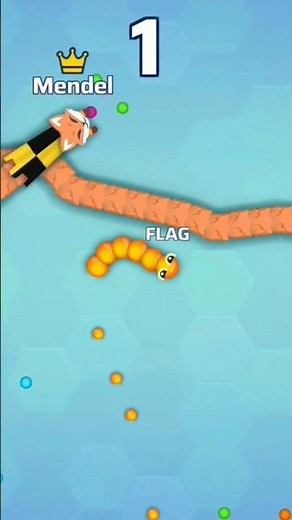 Worms zone io 001 Pro Biggest Snake Gameplay | worm zone 001 rank1 Pro biggest snake | #ytshorts