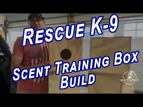 Building a K9 Scent Training Box for Rescue Dogs – Simple DIY Wooden Design!
