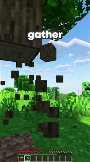 How to ACTUALLY play the Box SMP... #minecraft #fyp #smp