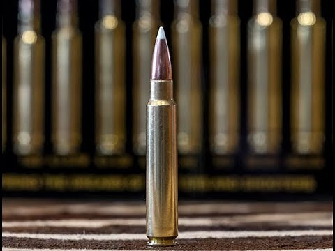 Weatherby announces it's newest cartridge! 338 WBY RPM