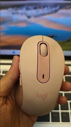 Logitech Signature M650 Wireless Mouse After 3year of Usages