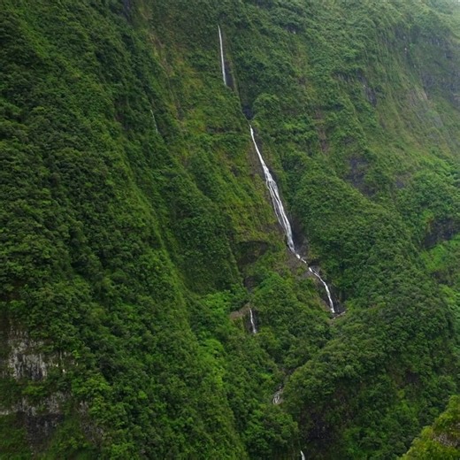 💦 Takamaka, puissance sauvage de La Réunion Perdue au cœur d’une nature luxuriante, la cascade de Takamaka impressionne par sa hauteur et son débit spectaculaire. Un spot incontournable pour les amoureux de paysages grandioses et de randonnée 🌿 👉 Partez à la découverte de La Réunion à prix malin avec Billets Discount ! | Billetsdiscount.com