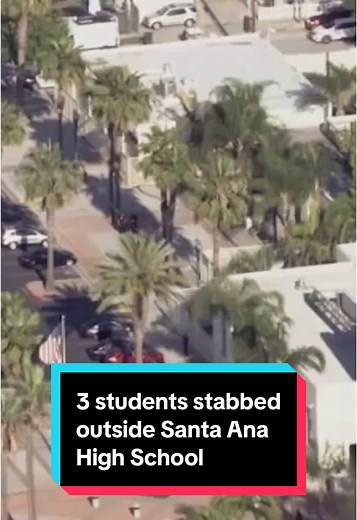 One student was killed, and two others were hurt in a stabbing outside Santa Ana High School. The violence was reported just before 3:30 p.m. Wednesday, according to police. Law enforcement is searching for two people wanted in the case. #SantaAna #SantaAnaHighSchool #nbcla #investigation