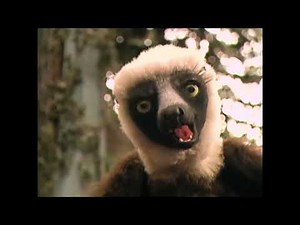 Zoboomafoo Snack Machine