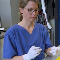 Video: Inducing Acute Lung Injury in Mice by Direct Intratracheal Lipopolysaccharide Instillation