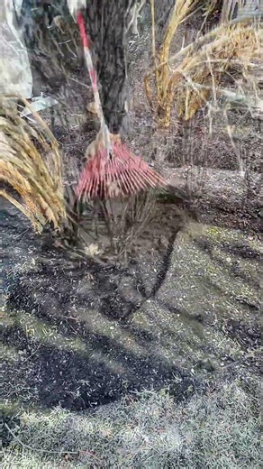 Curb Appeal Transformation—Professional Edging and Mulching That'll Blow Your Mind