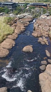 The flowing stream at the start of the Fairyland Trail, just behind the Big Swing at #graskopgorgeliftco Come visit! www.gglc.co.za | Graskop Gorge Lift Co