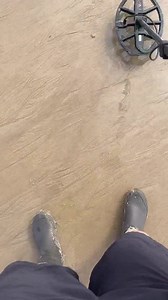 98K views · 973 reactions | Directo completo de Tik Tok 16-09-2022 #metaldetecting #metaldetector #metaldetectingfinds #youtuber #tiktokers2022 #Entretenimiento #playa #beach ✅Sígueme en Youtube  https://youtube.com/c/Detecci%C3%B3nInfinita ✅Sígueme en Tik Tok  www.tiktok.com/@deteccion_infinita ✅Página web  deteccioninfinita.com ✅Patrocinador Eurodetection  https://eurodetection.com/ | Deteccion Infinita | Facebook