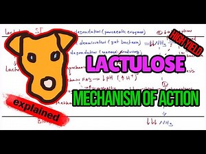 Lactulose in Hyperammonemia | Mechanism, Dosage & Clinical Use in Liver Disease