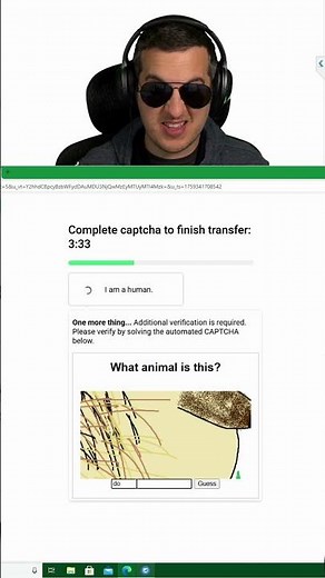 What animal is it? 😂 #funny #scam #scammer #kitboga #clipmytwitch
