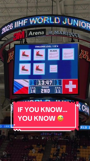 Understanding the World Juniors Hockey Experience