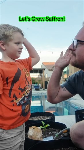 Brandon on Instagram: "It’s time to try my hand at growing Saffron! This time I had some helping hands from my little as well! He’s just the best! #garden #parent #parenting #gardening #saffron"