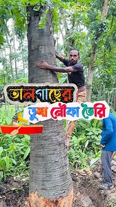 3.2M views · 50K reactions | তালগাছ দিয়ে ডুঙ্গা নৌকা তৈরি Amazing skills make people strong #Amazing #viral #palmtreeboat | Local Hero | Facebook